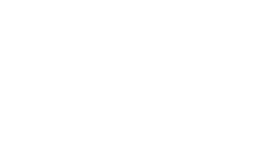 33 The Series